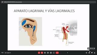 CLASE 1  OFTALMOLOGIA  ANATOMIA EMBRIOLOGIA Y FISIOLOGIA DEL OJO [upl. by Nuahsak204]