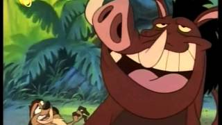 Abenteuer mit Timon und Pumbaa Theme Song DeutschGerman amp Credits [upl. by Etnod556]