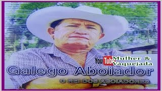 GALEGO ABOIADOR  O MELHOR DA VAQUEJADA [upl. by Ashlin824]