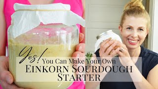 MAKE EINKORN SOURDOUGH STARTER FROM SCRATCH  Transition a Sourdough Starter to Einkorn [upl. by Ahsiuq194]