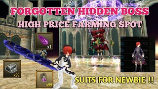 Toram Online  Summer Event Boss High Price Farming Spot  Suits for Newbie [upl. by Brade284]