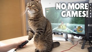 LuLu Won’t Let Me Play Games  Kittisaurus [upl. by Ragg]