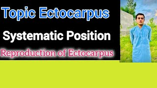 Systematic Position Of Ectocarpus  Habitat  Structure Reproduction of Ectocarpus [upl. by Elyrehc]