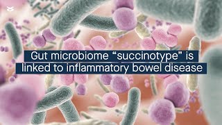 Gut microbiome “succinotype” is linked to inflammatory bowel disease [upl. by Riancho]