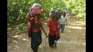 Girnar Lili Parikrama begins [upl. by Schlenger213]