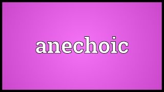 Anechoic Meaning [upl. by Aninahs34]