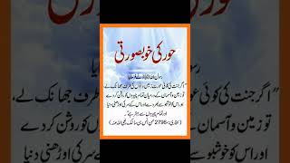 Hoor ki khubsurti quotes sad islamicstatus love life youtubeshorts shorts viralshorts [upl. by Cassilda]