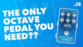 The Only Octave Pedal You Need MXR Poly Blue Octave [upl. by Kissiah]