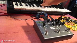 STRYMON TimeLine on KORG MS 20 [upl. by Eylhsa]