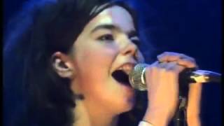 THE SUGARCUBES  DREAM TV amp DELICIOUS DEMON LIVE 1988 [upl. by Adyl]