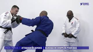 9 Piedspoings  Blocage de coups de pieds bas DEF [upl. by Silsbye]