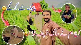 Aj Ham Ne Sag Shareef Toda  Today We Broke Saag Sharif  Punjabi Vlog [upl. by Sigismundo]