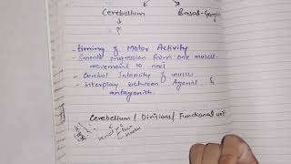 Cerebellum guyton 57 part 1 motor Physiology motor control by cerebellum [upl. by Sisson]