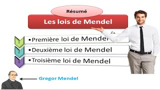 Résumé des trois lois de Mendel [upl. by Atnicaj535]