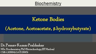 Ketone bodies Synthesis utilization and clinical significance [upl. by Leinahtan]