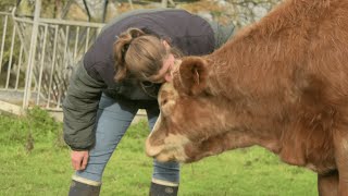 Miss France Agricole  une Sarthoise parmi les 21 dernières prétendantes [upl. by Annasus]