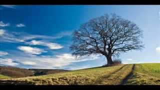 Blue Sky and Tree  native american meditation flute [upl. by Alber974]