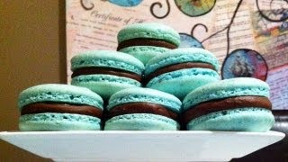 Easy Macaron Recipe FAQ by Ann Reardon How To Cook That [upl. by Flita]