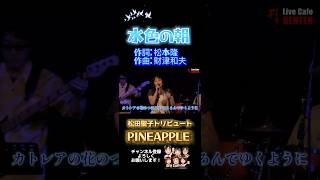 水色の朝 松田聖子トリビュートバンド パイチャン pineapple あなたに逢いたい夢の続きで shorts [upl. by Aneerbas]