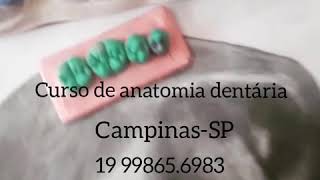 Curso anatomia dentária CampinasSP [upl. by Dnamron370]