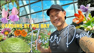 Magnificent🌵Desert Plants And Fantastic Florals 💐  Inside The Flower Dome  Gardens by the Bay [upl. by Kirat357]