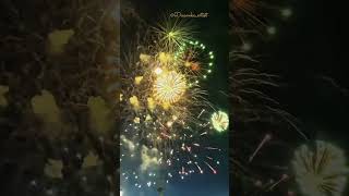 HAPPY DIWALI STATUS 💫  HAPPY DIWALI WHATSAPP STATUS [upl. by Ries]