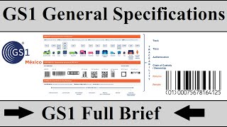 How To Get GS1 Barcodes For Ecommerce  GS1 Full Brief In Hindi  GS1 General Specifications GTINs [upl. by Tsepmet921]