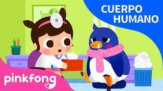 Enfermedad  Cuerpo Humano  Pinkfong Canciones Infantiles [upl. by Alfi145]