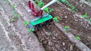 Easy Make Inter cultivator for vegetable and weed control [upl. by Sophi]