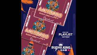 quotAMITUNGOquotBUSHY KING FT RAP Kofficial audio Latest Alur music 2023 [upl. by Eillor]