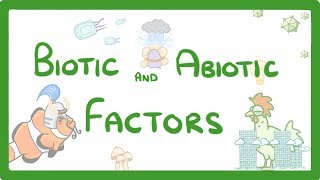 GCSE Biology  Biotic and Abiotic Factors 83 [upl. by Ennovoj]