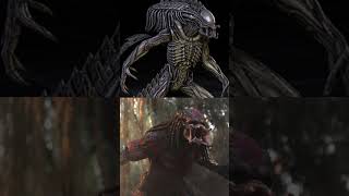 The Abomination Vs Ultimate Predator alien predator edit [upl. by Kampmann]