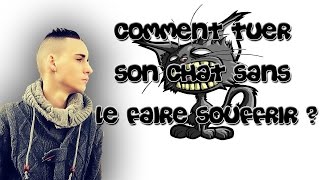 AUREDU30  Comment tuer son Chat sans le faire Souffrir [upl. by Eibob164]