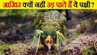 दुनिया के 12 पक्षी जो उड़ नहीं सकते  Top 12 Flightless Birds In The World  Flightless Birds [upl. by Nickie]