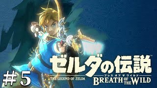 🔴【ブレワイ】神ゲーと称賛のゼルダの伝説Breath of the Wildをやる【ゼルダの伝説BotW】5 [upl. by Ekenna]