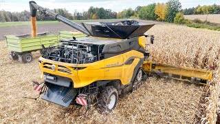 NEW HOLLAND CR11  16 reihigen Maisvorsatz bei der Maisernte 2024  Corn Harvest 24 [upl. by Acinorev]