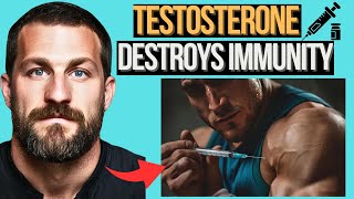 TESTOSTERONE Or Anabolic Steroids DESTROY Your Immunity Permanently Neuroscientist Andrew Huberman [upl. by Ahselak619]