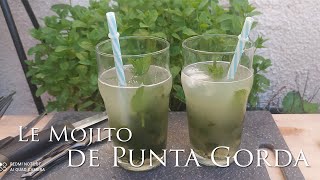 Le Mojito de Punta Gorda  Punta Gorda mojitos at home [upl. by Verada602]