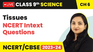 Tissues  NCERT Intext Questions  Class 9 Science Chapter 6 LIVE [upl. by Naillimixam]