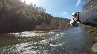 Fishing Mokelumne River at Electra [upl. by Alexander]