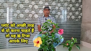 बगीचे के सारे प्लांट दनादन बढ़ेंगे बस इन 10 बातों का ध्यान रखें 10 important gardening tips amp care [upl. by Anelehs774]