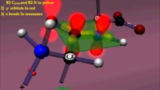 Peptide bond [upl. by Eenet]