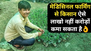 औषधीय पौधों की खेती ऐसे शुरू करेंMedicinal plant cultivation Farming in india [upl. by Tasha]