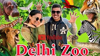 Delhi Zoo  Delhi Zoo Online Ticket Booking and All Information  दिल्ली का चिड़ियाघर 🦁 [upl. by Eenhat]