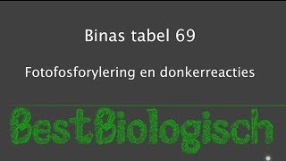 Binas tabel 69  Fotofosforylering en donkerreacties [upl. by Bernardo]