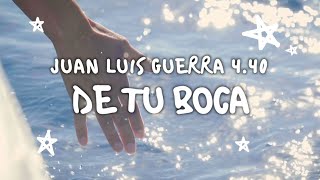 Juan Luis Guerra 440  De Tu Boca Video Con Letra [upl. by Pellet314]