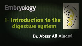 Embryology1 Introduction to the digestive system Dr Abeer Ali Alnawi [upl. by Hutt]