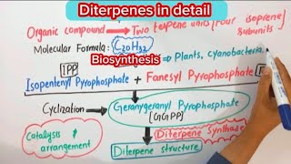 Diterpenes BiochemistryStructureBiosynthesisFunction biochemistry [upl. by Herr]