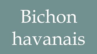 How to Pronounce Bichon havanais Havanese Correctly in French [upl. by Enoval332]