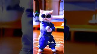 Cat dance video shorts cute [upl. by Lynden]